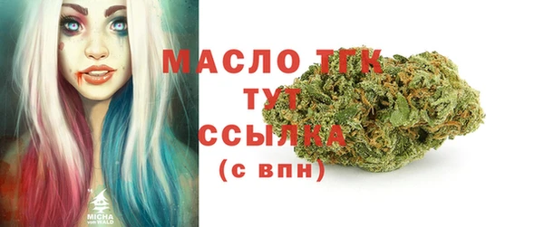 мдпв Елабуга
