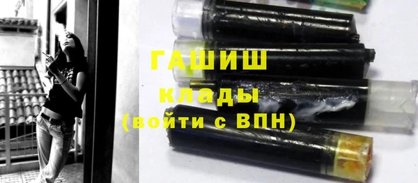 мдпв Елабуга