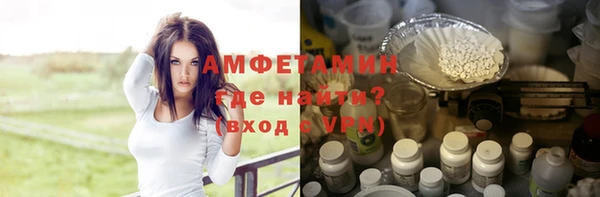 мдпв Елабуга