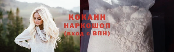 мдпв Елабуга