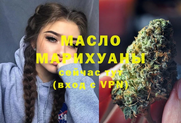 мдпв Елабуга