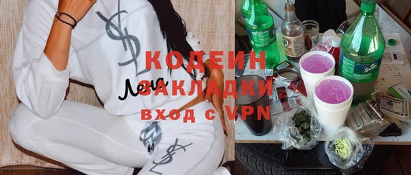крисы Елизово