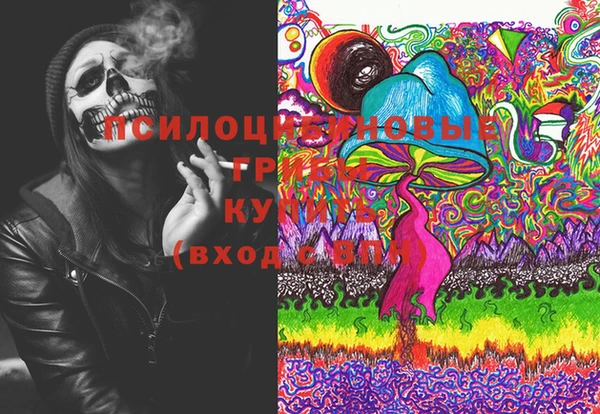 мдпв Елабуга
