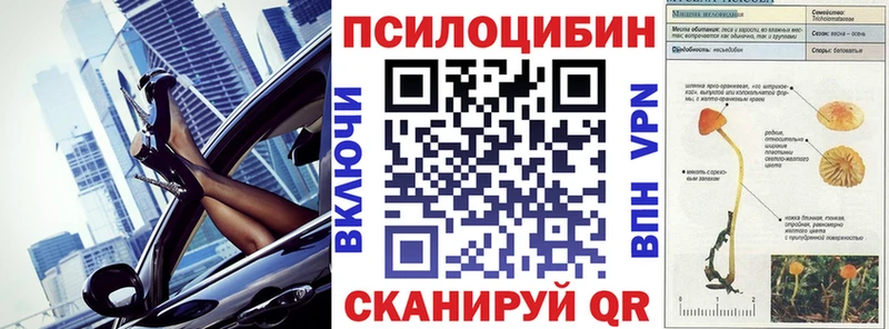 Купить закладки  Нязепетровск  Псилоцибиновые грибы ЛСД 